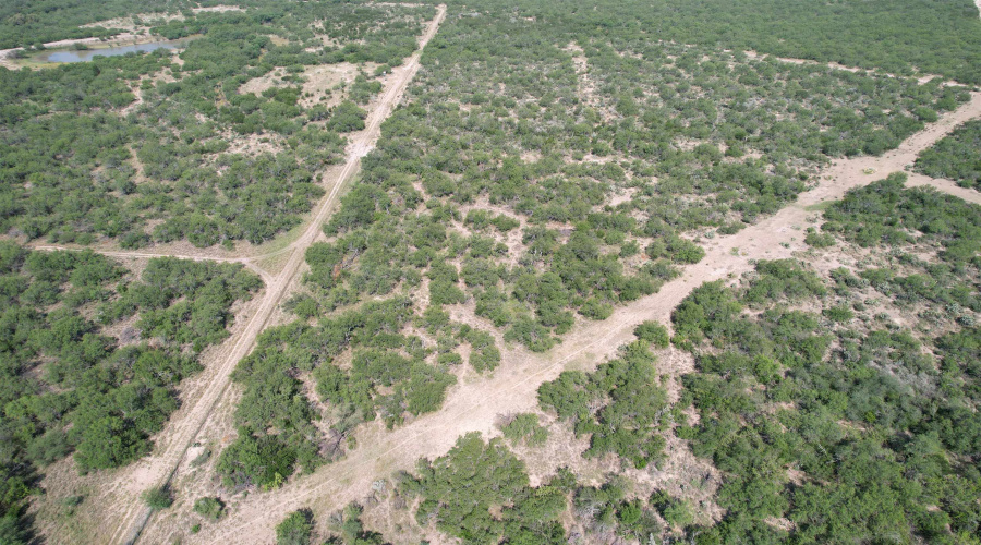 0000 ABST 423, Laredo, Texas 78046, ,Land,For Sale,0000 ABST 423,20261044