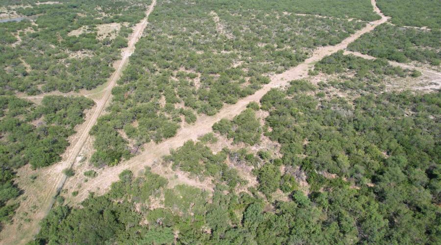 0000 ABST 423, Laredo, Texas 78046, ,Land,For Sale,0000 ABST 423,20261044