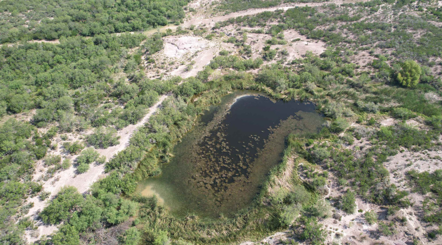 0000 ABST 423, Laredo, Texas 78046, ,Land,For Sale,0000 ABST 423,20261044