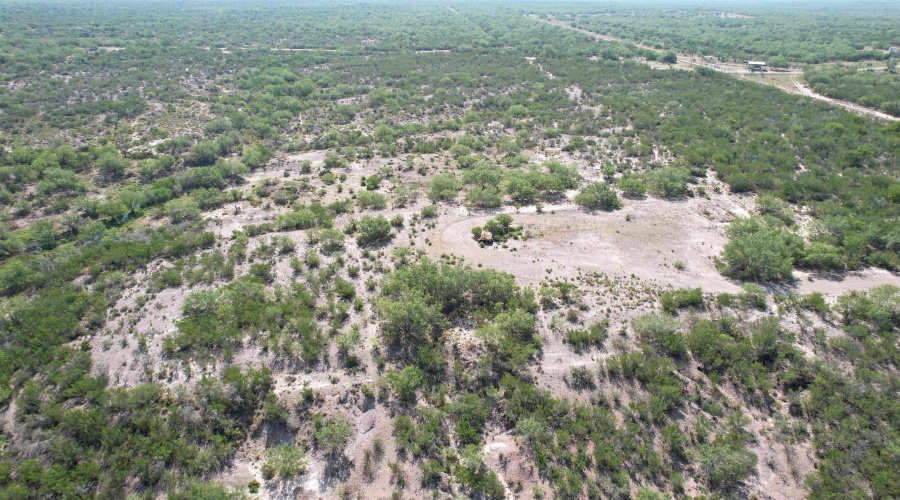 0000 ABST 423, Laredo, Texas 78046, ,Land,For Sale,0000 ABST 423,20261044