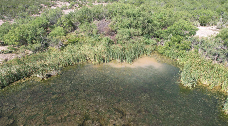 0000 ABST 423, Laredo, Texas 78046, ,Land,For Sale,0000 ABST 423,20261044