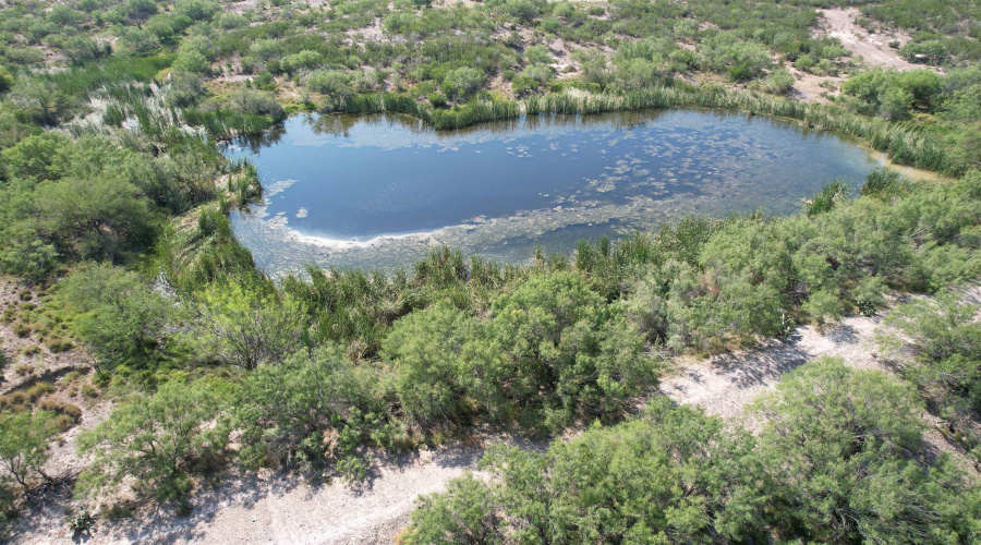 0000 ABST 423, Laredo, Texas 78046, ,Land,For Sale,0000 ABST 423,20261044