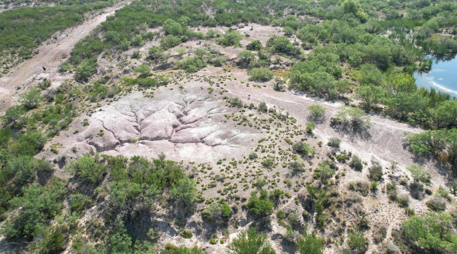 0000 ABST 423, Laredo, Texas 78046, ,Land,For Sale,0000 ABST 423,20261044