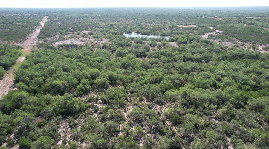 0000 ABST 423, Laredo, Texas 78046, ,Land,For Sale,0000 ABST 423,20261044