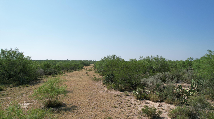 0000 ABST 423, Laredo, Texas 78046, ,Land,For Sale,0000 ABST 423,20261044