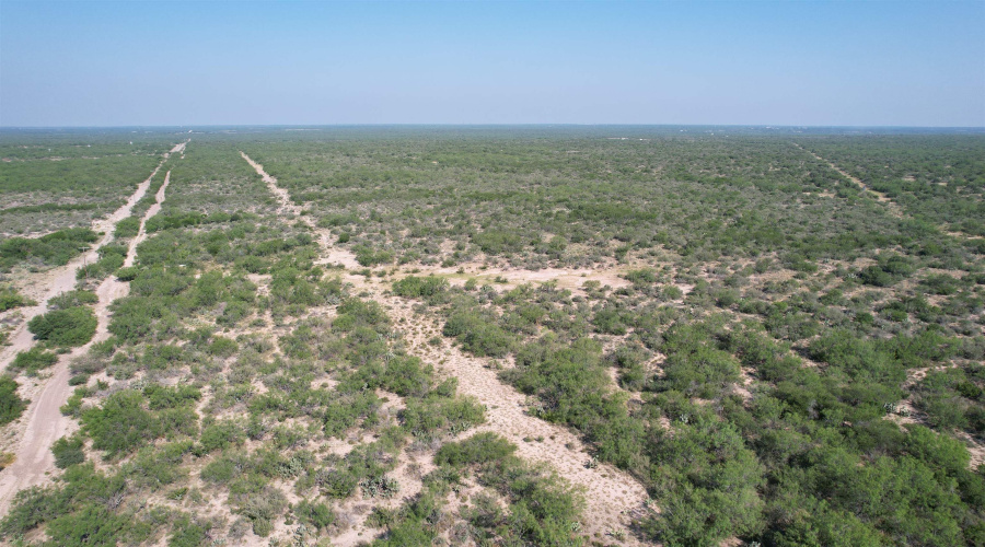 0000 ABST 423, Laredo, Texas 78046, ,Land,For Sale,0000 ABST 423,20261044