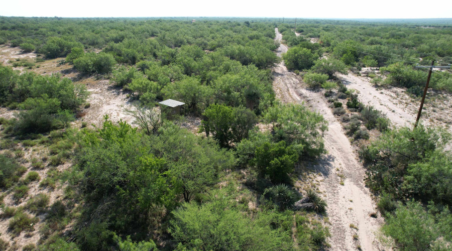 0000 ABST 423, Laredo, Texas 78046, ,Land,For Sale,0000 ABST 423,20261044