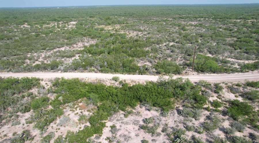 0000 ABST 423, Laredo, Texas 78046, ,Land,For Sale,0000 ABST 423,20261044
