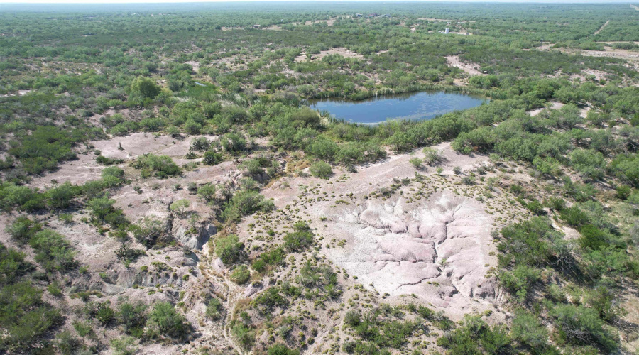 0000 ABST 423, Laredo, Texas 78046, ,Land,For Sale,0000 ABST 423,20261044