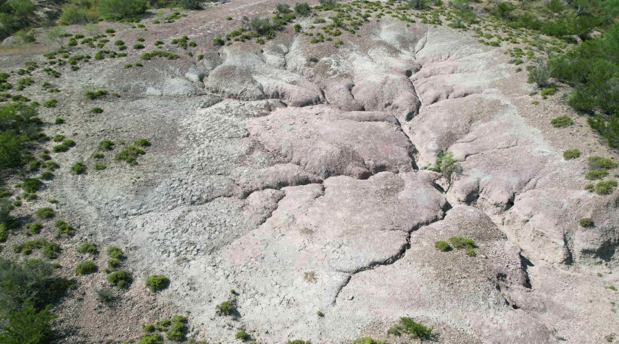 0000 ABST 423, Laredo, Texas 78046, ,Land,For Sale,0000 ABST 423,20261044