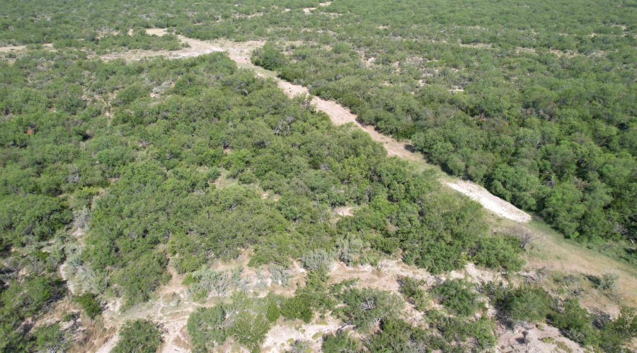 0000 ABST 423, Laredo, Texas 78046, ,Land,For Sale,0000 ABST 423,20261044