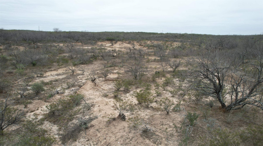 4796 N U.S. Hwy 83, San Ygnacio, Texas 78067, ,Land,For Sale,4796 N U.S. Hwy 83,20261060