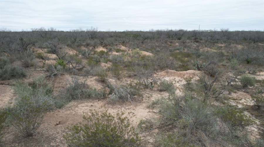 4796 N U.S. Hwy 83, San Ygnacio, Texas 78067, ,Land,For Sale,4796 N U.S. Hwy 83,20261060
