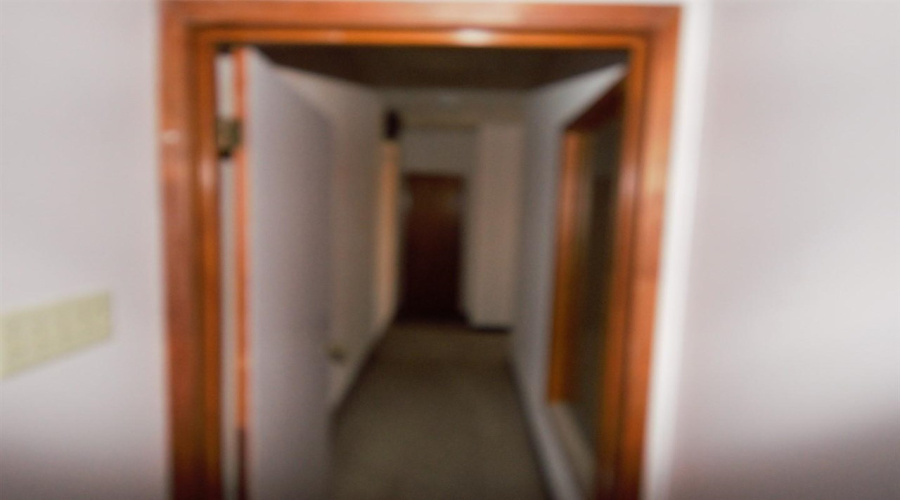 419 Flores Ave, Laredo, Texas 78040, 1 Room Rooms,1 BathroomBathrooms,Commercial retail/office,For Rent,419 Flores Ave,20261074