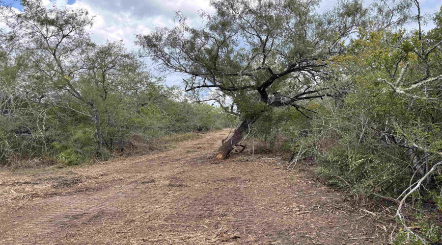 CR 406 (E OFF OF), Falfurrias, Texas 78355, ,Land,For Sale,CR 406 (E OFF OF),20261062