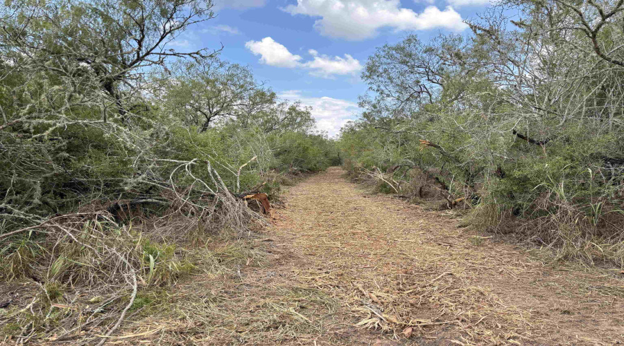 CR 406 (E OFF OF), Falfurrias, Texas 78355, ,Land,For Sale,CR 406 (E OFF OF),20261062