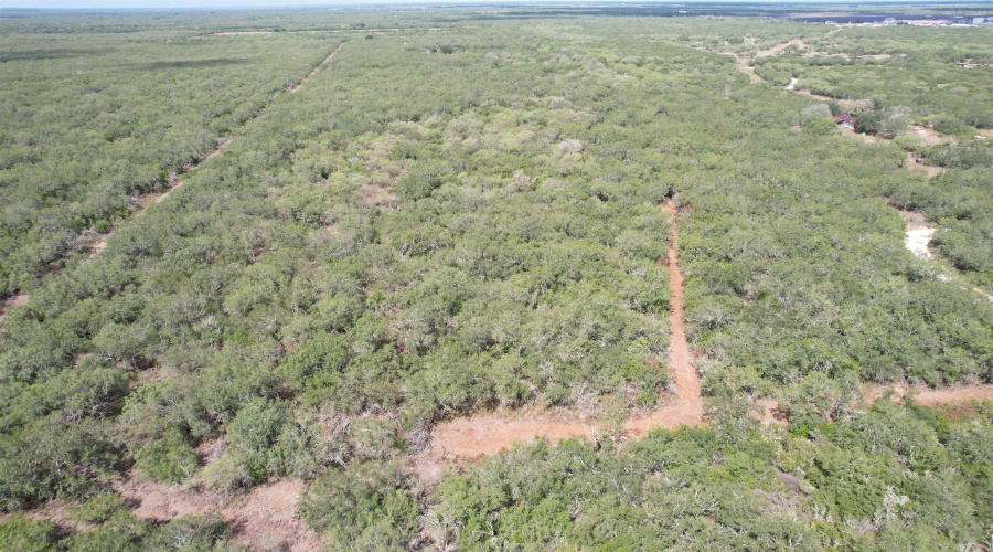 CR 406 (E OFF OF), Falfurrias, Texas 78355, ,Land,For Sale,CR 406 (E OFF OF),20261062