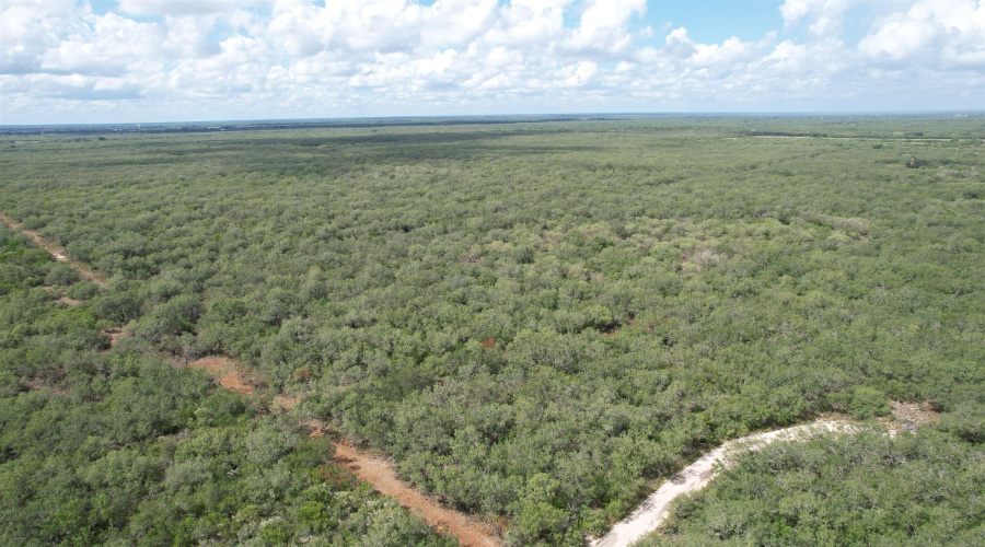 CR 406 (E OFF OF), Falfurrias, Texas 78355, ,Land,For Sale,CR 406 (E OFF OF),20261062
