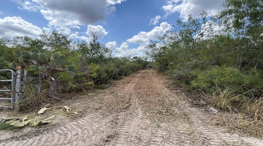 CR 406 (E OFF OF), Falfurrias, Texas 78355, ,Land,For Sale,CR 406 (E OFF OF),20261062