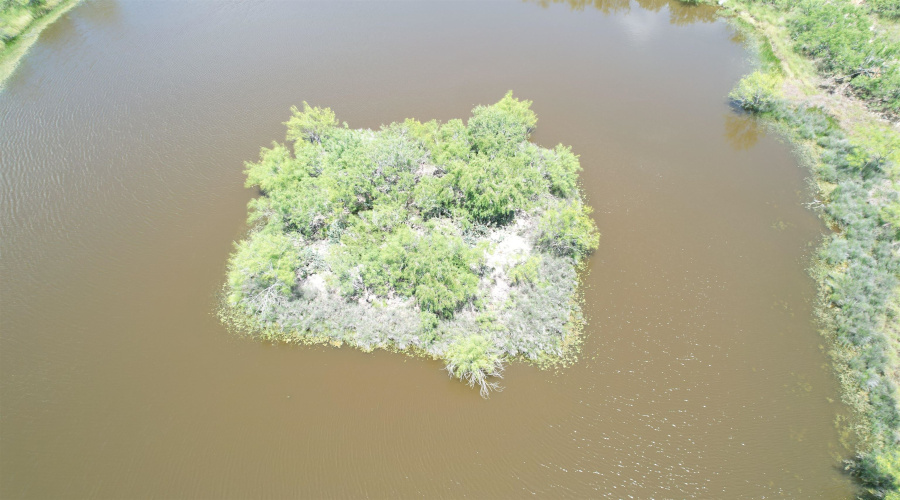 NW 1/2 OF TRS 33 THRU 40 SEC 40 AND 57 THRU 64, Fowlerton, Texas 78021, ,Land,For Sale,NW 1/2 OF TRS 33 THRU 40 SEC 40 AND 57 THRU 64,20261066