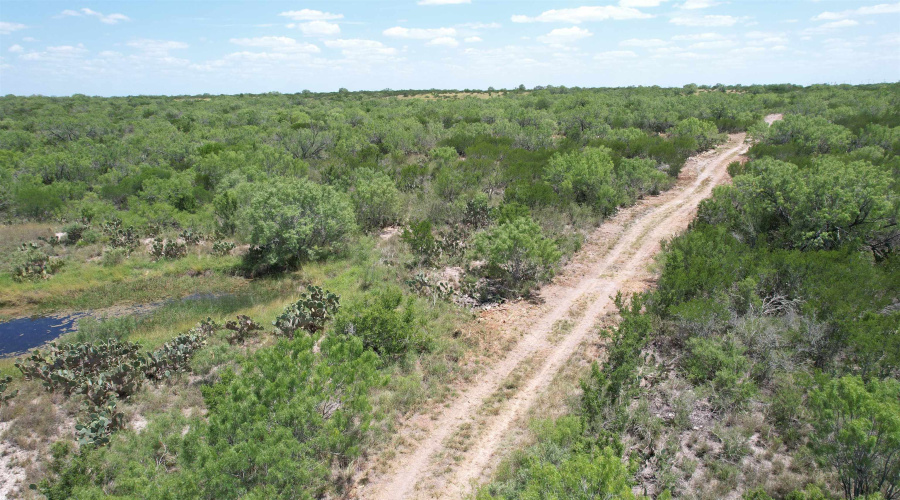 NW 1/2 OF TRS 33 THRU 40 SEC 40 AND 57 THRU 64, Fowlerton, Texas 78021, ,Land,For Sale,NW 1/2 OF TRS 33 THRU 40 SEC 40 AND 57 THRU 64,20261066