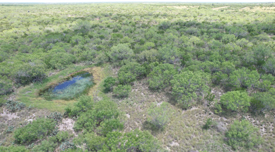 NW 1/2 OF TRS 33 THRU 40 SEC 40 AND 57 THRU 64, Fowlerton, Texas 78021, ,Land,For Sale,NW 1/2 OF TRS 33 THRU 40 SEC 40 AND 57 THRU 64,20261066