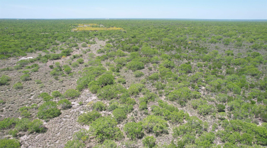NW 1/2 OF TRS 33 THRU 40 SEC 40 AND 57 THRU 64, Fowlerton, Texas 78021, ,Land,For Sale,NW 1/2 OF TRS 33 THRU 40 SEC 40 AND 57 THRU 64,20261066