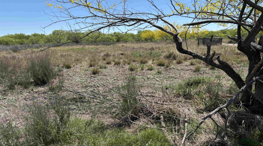 NW 1/2 OF TRS 33 THRU 40 SEC 40 AND 57 THRU 64, Fowlerton, Texas 78021, ,Land,For Sale,NW 1/2 OF TRS 33 THRU 40 SEC 40 AND 57 THRU 64,20261066