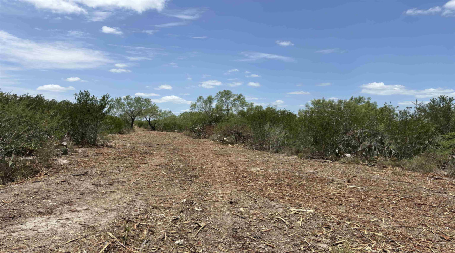 NW 1/2 OF TRS 33 THRU 40 SEC 40 AND 57 THRU 64, Fowlerton, Texas 78021, ,Land,For Sale,NW 1/2 OF TRS 33 THRU 40 SEC 40 AND 57 THRU 64,20261066