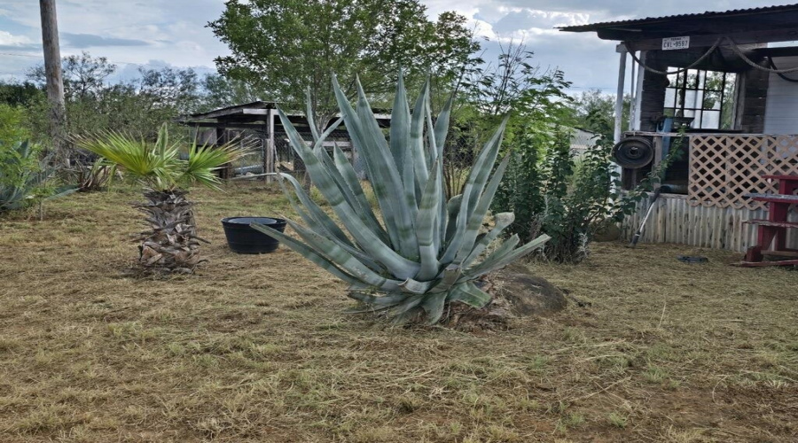 450 Ranch Road 6294H, LAREDO, Texas 78040, ,Land,For Sale,450 Ranch Road 6294H,20261090