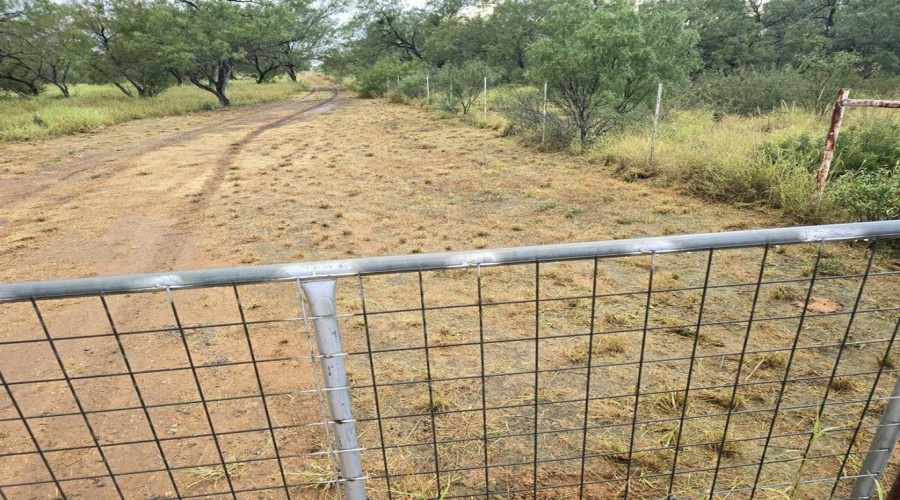 450 Ranch Road 6294H, LAREDO, Texas 78040, ,Land,For Sale,450 Ranch Road 6294H,20261090