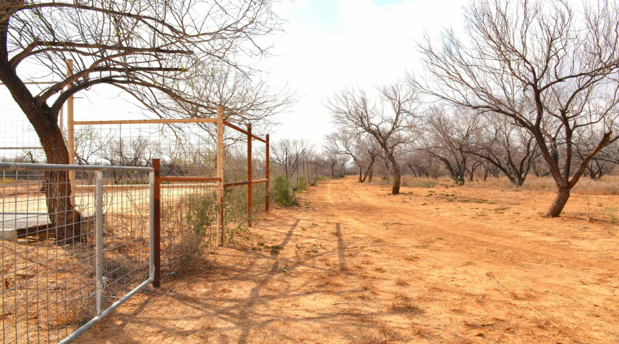 450 Ranch Road 6294H, LAREDO, Texas 78040, ,Land,For Sale,450 Ranch Road 6294H,20261090