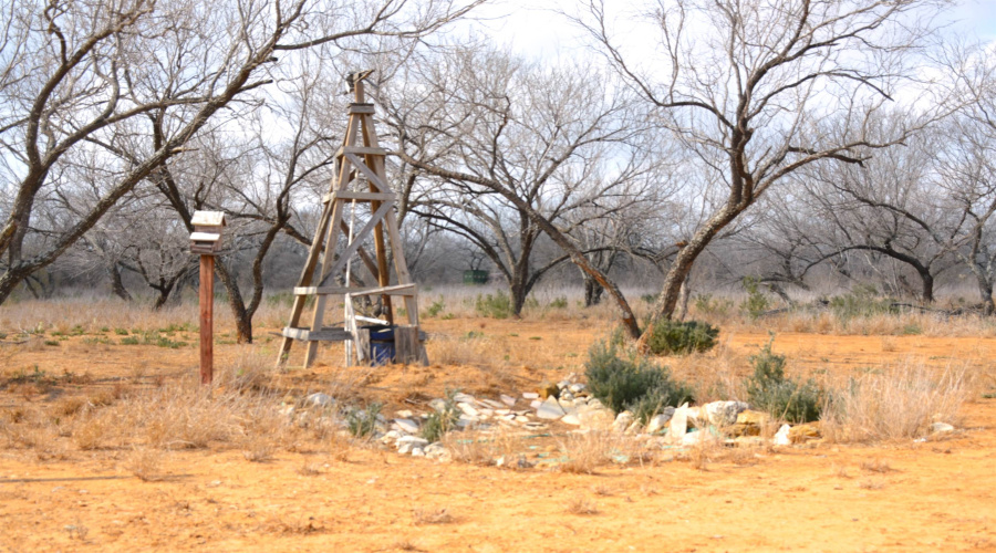 450 Ranch Road 6294H, LAREDO, Texas 78040, ,Land,For Sale,450 Ranch Road 6294H,20261090