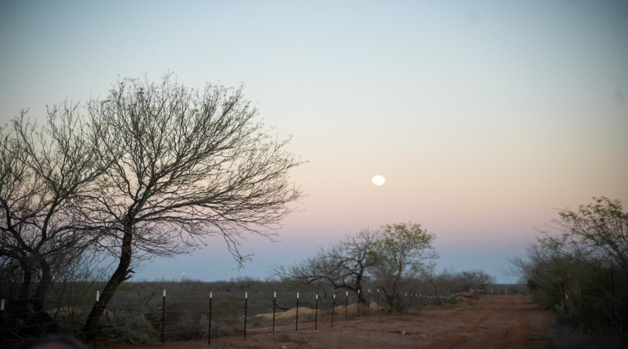 450 Ranch Road 6294H, LAREDO, Texas 78040, ,Land,For Sale,450 Ranch Road 6294H,20261090