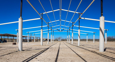 312 Hornet, Laredo, Texas 78045, ,Land,For Rent,312 Hornet,20261102