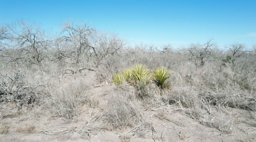 ABST 318 WJ Pearce, Three Rivers, Texas 78071, ,Land,For Sale,ABST 318 WJ Pearce,20261140