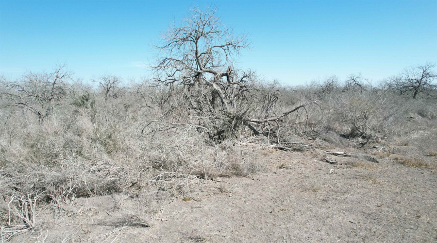 ABST 318 WJ Pearce, Three Rivers, Texas 78071, ,Land,For Sale,ABST 318 WJ Pearce,20261140