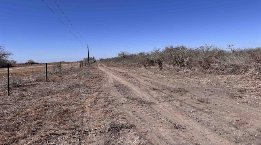 ABST 318 WJ Pearce, Three Rivers, Texas 78071, ,Land,For Sale,ABST 318 WJ Pearce,20261140