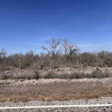 ABST 318 WJ Pearce, Three Rivers, Texas 78071, ,Land,For Sale,ABST 318 WJ Pearce,20261140