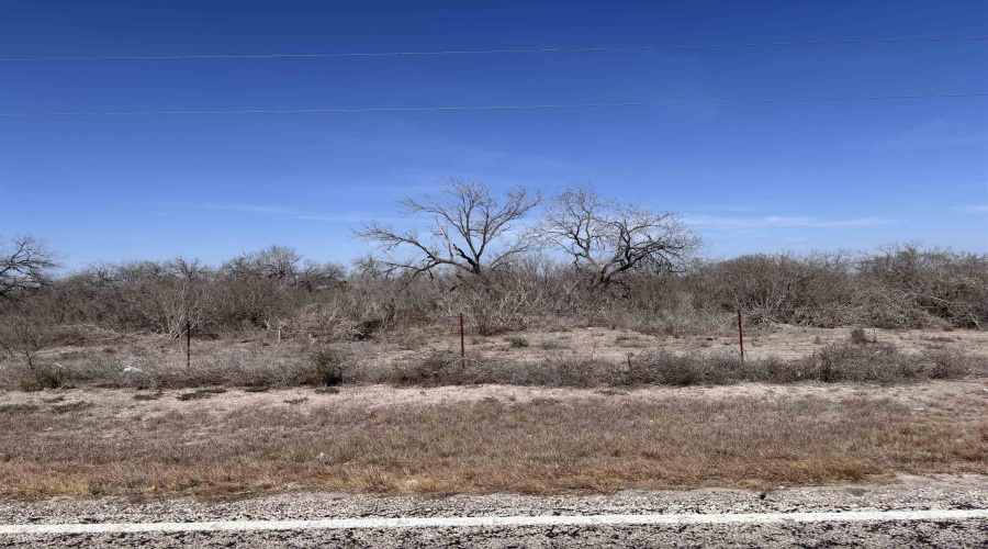 ABST 318 WJ Pearce, Three Rivers, Texas 78071, ,Land,For Sale,ABST 318 WJ Pearce,20261140