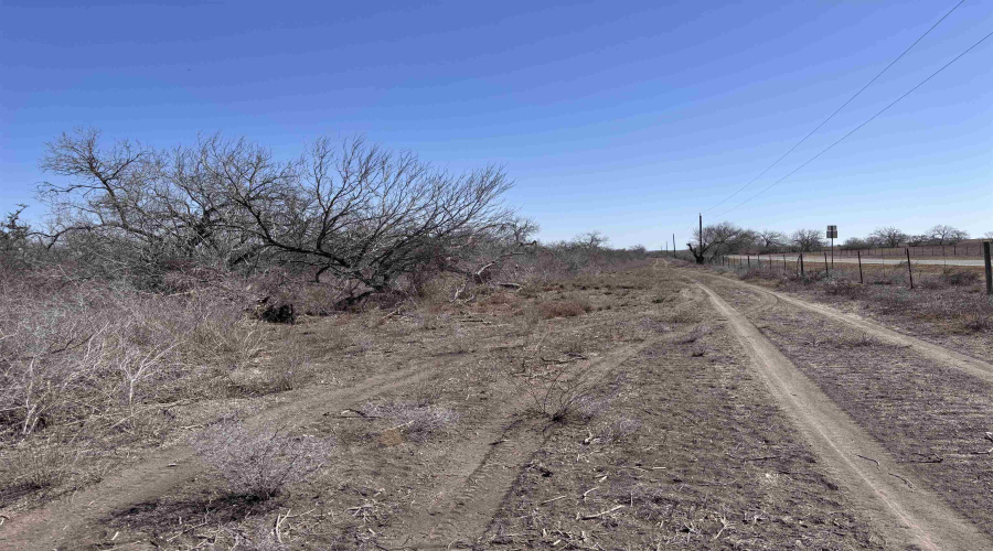 ABST 318 WJ Pearce, Three Rivers, Texas 78071, ,Land,For Sale,ABST 318 WJ Pearce,20261140