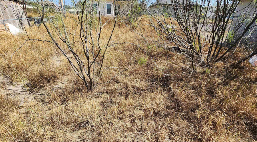 431 Riverview Dr, Laredo, Texas 78046, ,Land,For Sale,431 Riverview Dr,20261141