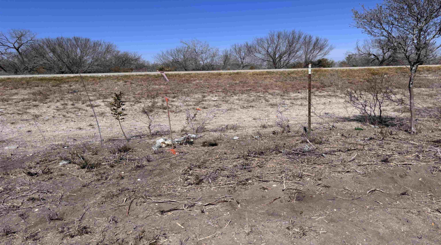 ABST 318 WJ Pearce, Three Rivers, Texas 78071, ,Land,For Sale,ABST 318 WJ Pearce,20261142