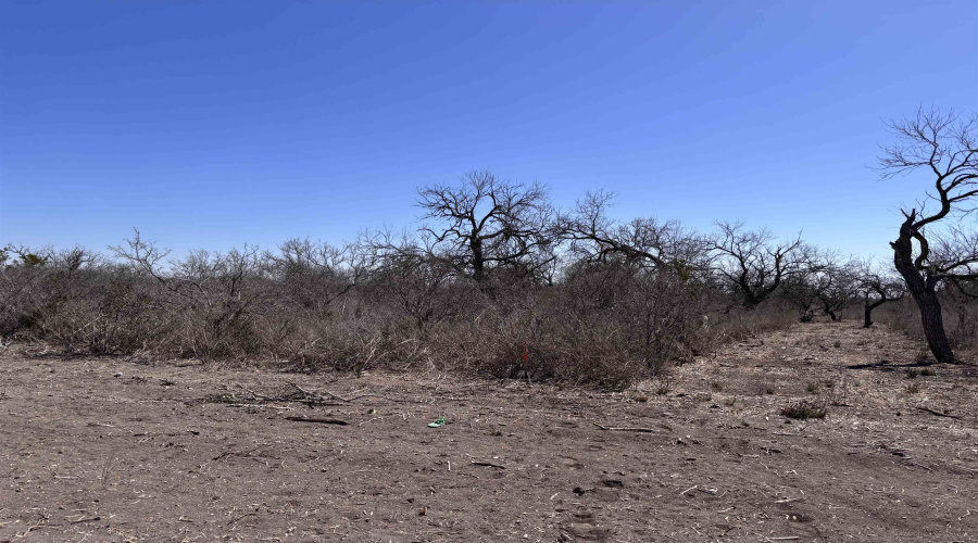 ABST 318 WJ Pearce, Three Rivers, Texas 78071, ,Land,For Sale,ABST 318 WJ Pearce,20261142