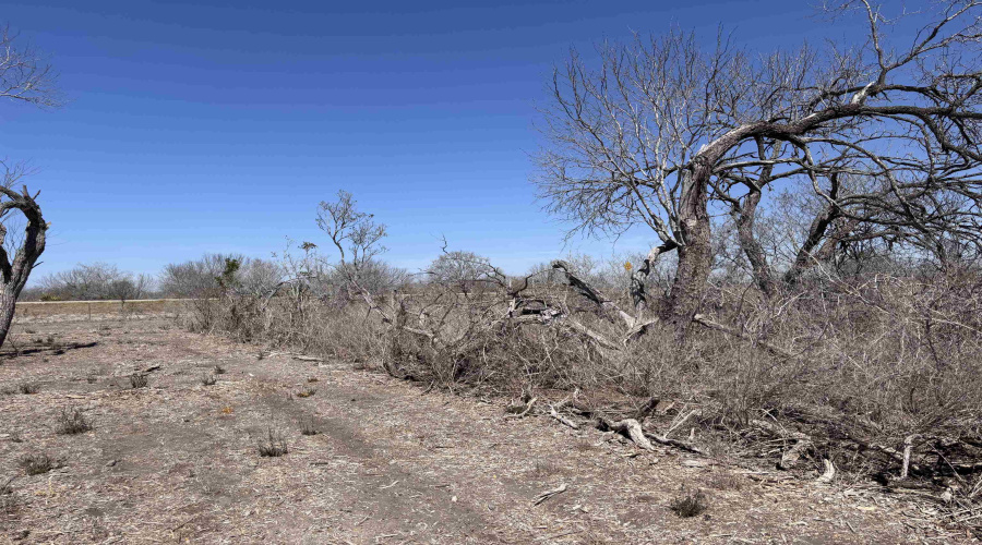 ABST 318 WJ Pearce, Three Rivers, Texas 78071, ,Land,For Sale,ABST 318 WJ Pearce,20261142