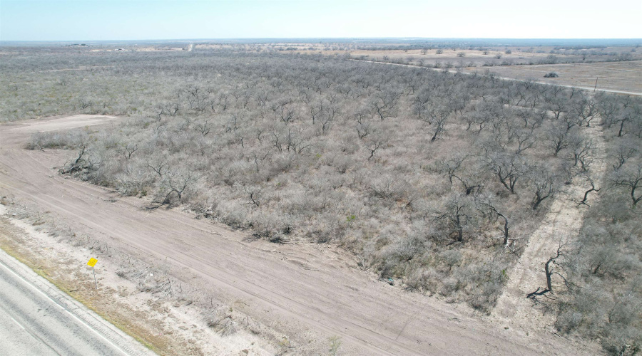 ABST 318 WJ Pearce, Three Rivers, Texas 78071, ,Land,For Sale,ABST 318 WJ Pearce,20261142