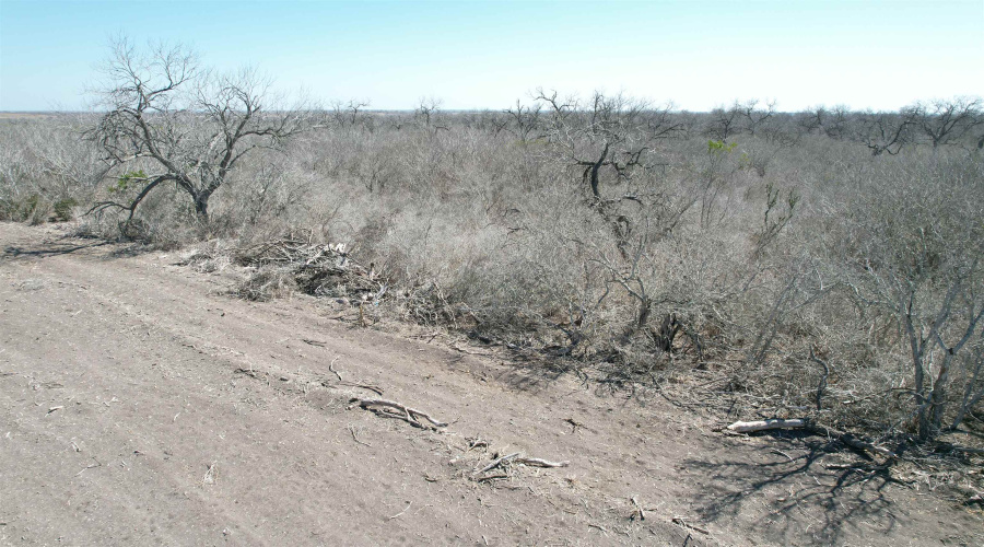 ABST 318 WJ Pearce, Three Rivers, Texas 78071, ,Land,For Sale,ABST 318 WJ Pearce,20261142