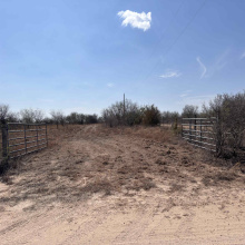 CR 119, Alice, Texas 78332, ,Land,For Sale,CR 119,20261145