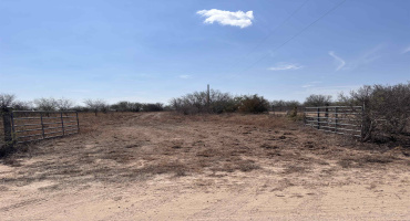 CR 119, Alice, Texas 78332, ,Land,For Sale,CR 119,20261145