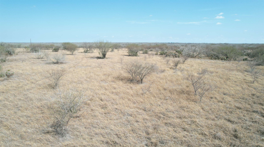 CR 119, Alice, Texas 78332, ,Land,For Sale,CR 119,20261145